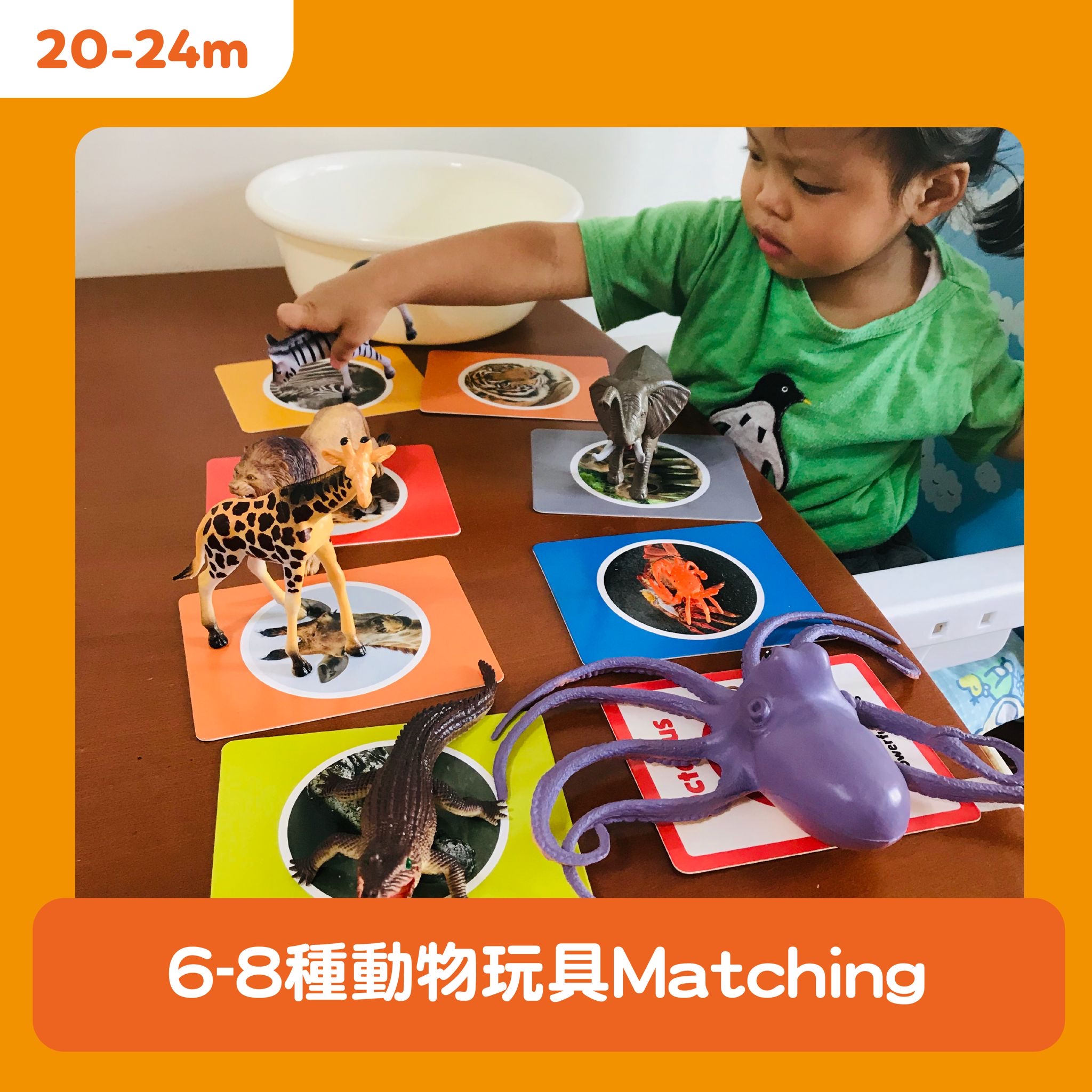 Curios Flashcard 英文識字卡