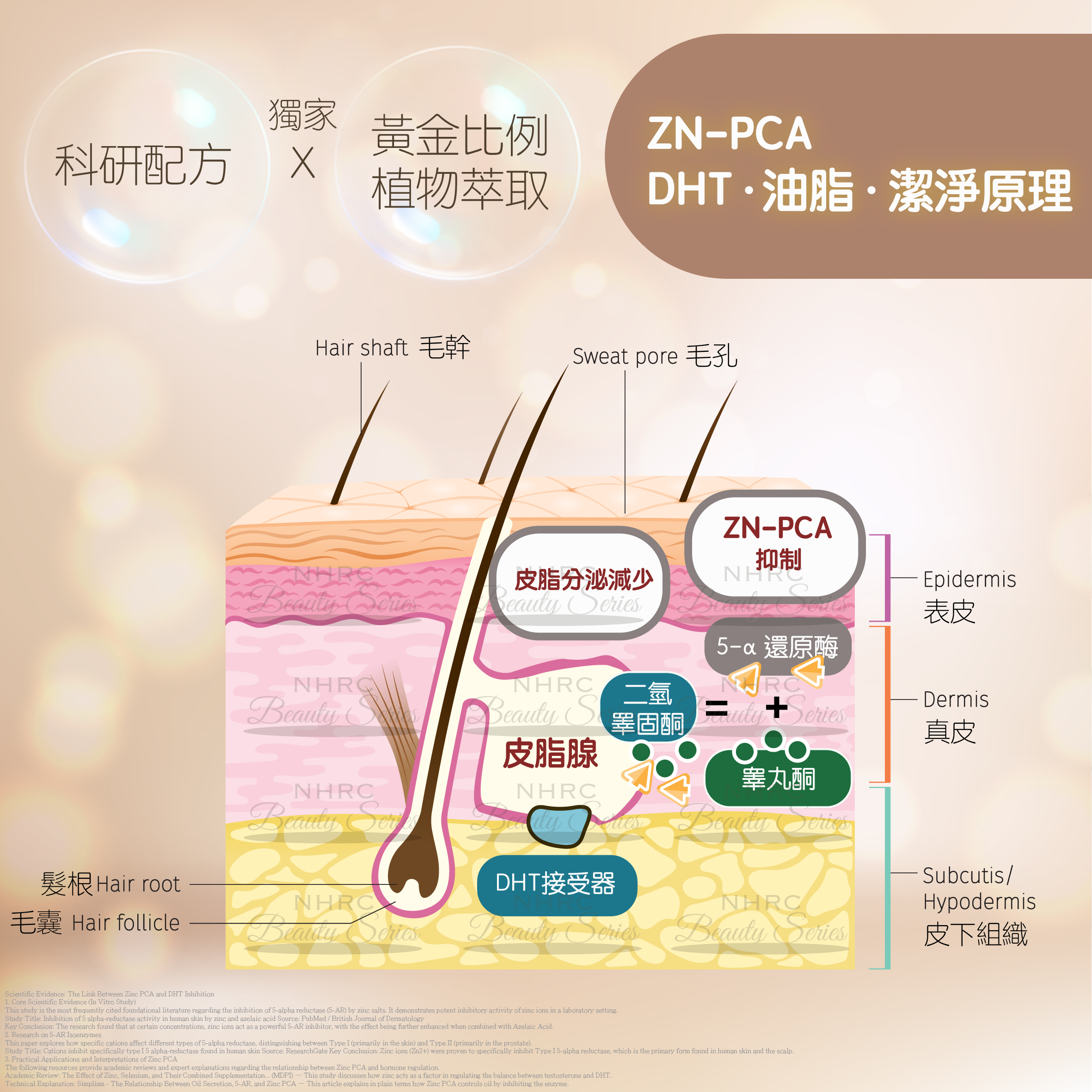 控油清爽洗頭水 Hair Freshness Shampoo