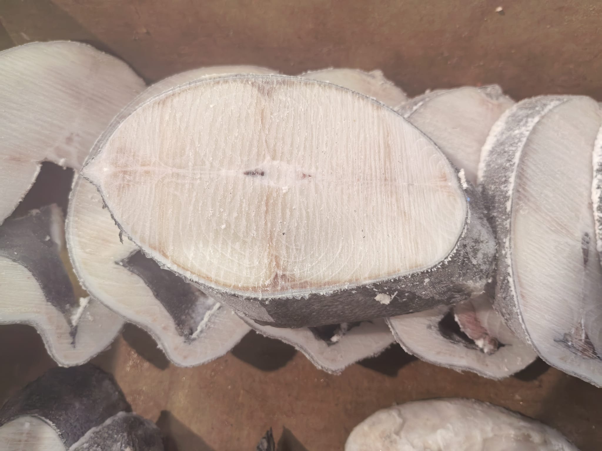 美國野生銀鱈魚（原條）