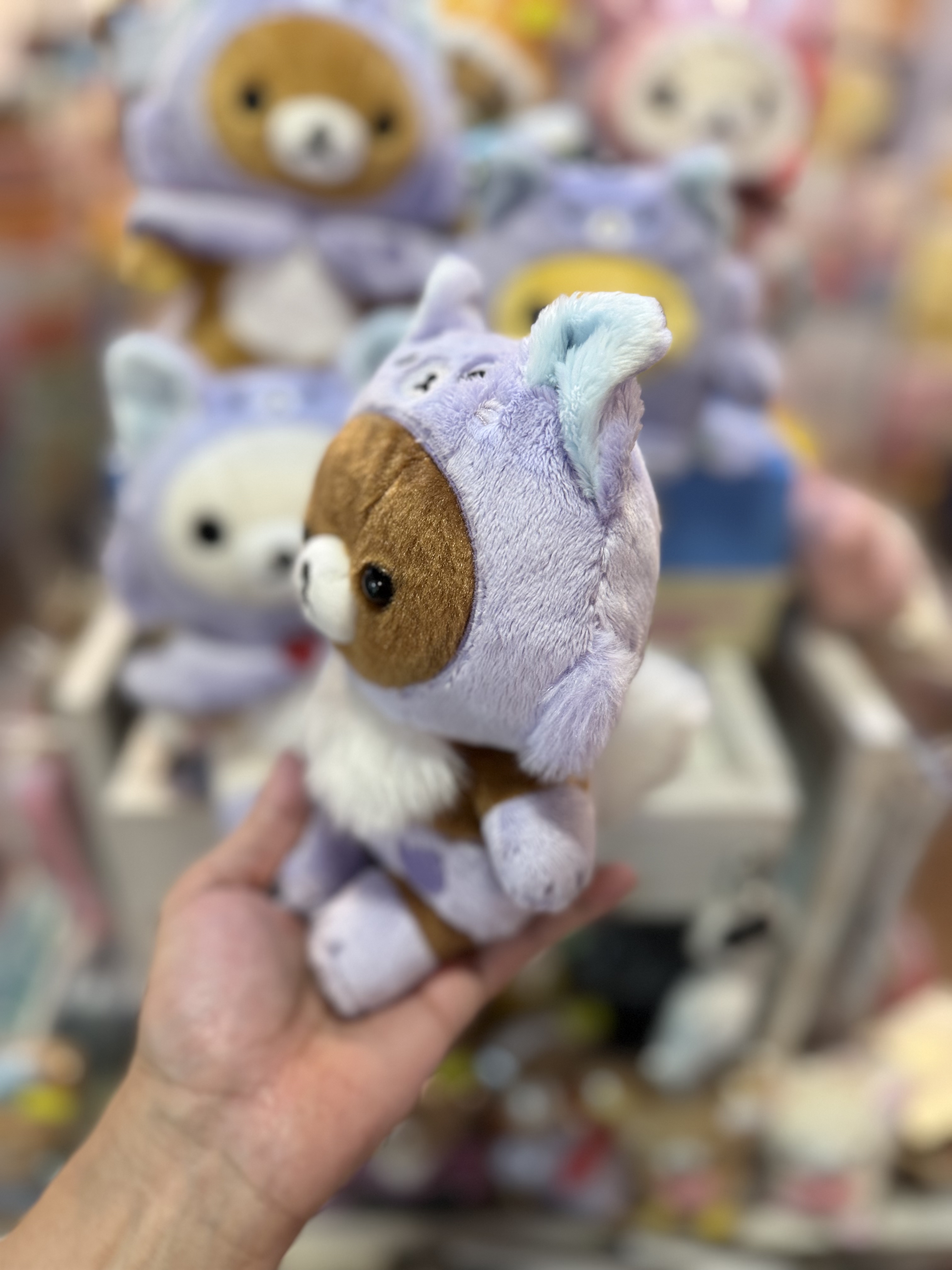 《現貨》全新Rilakkuma瓦瓦貓系列公仔