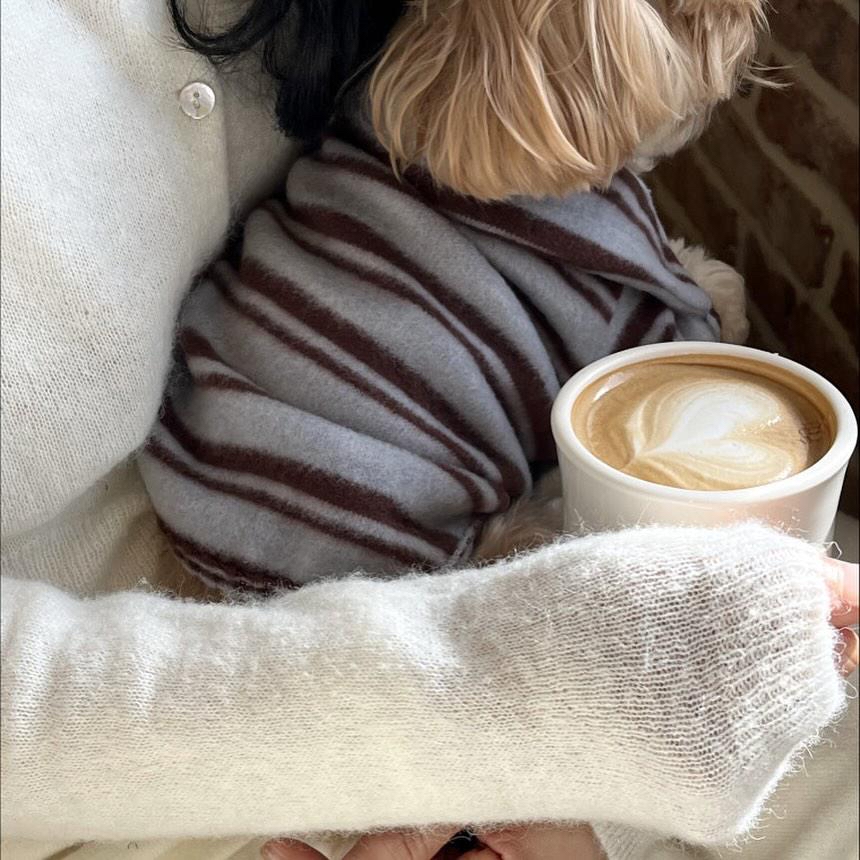 韓國 毛毛間條 衫衫 💚🩵