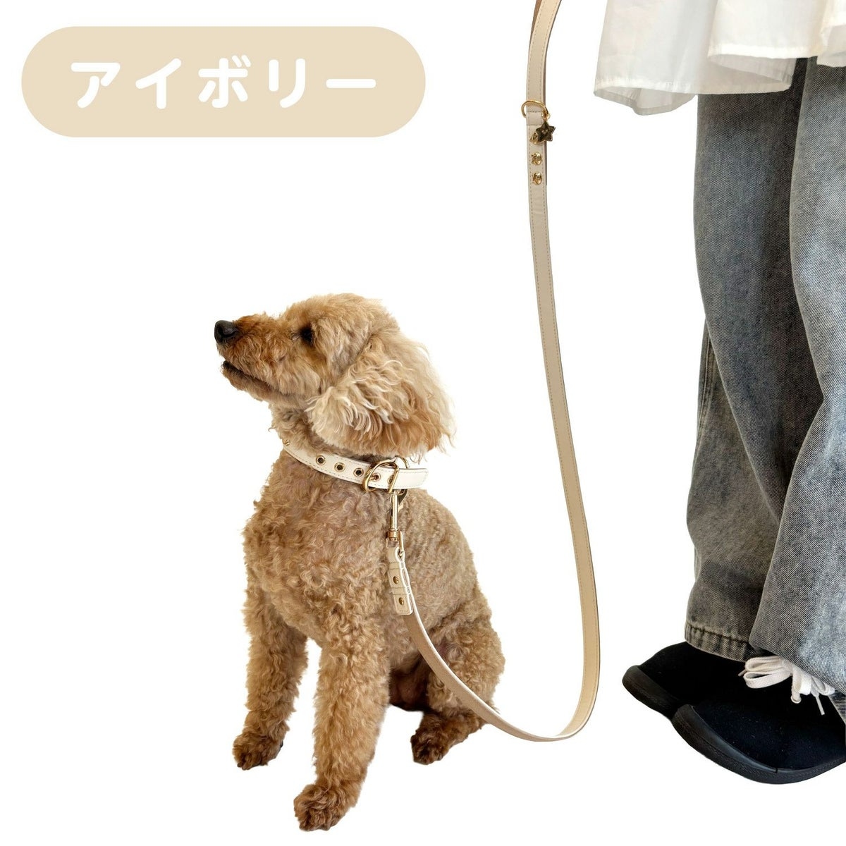 🌸 【預訂】Chiikawa 小型犬用 狗帶(合皮)