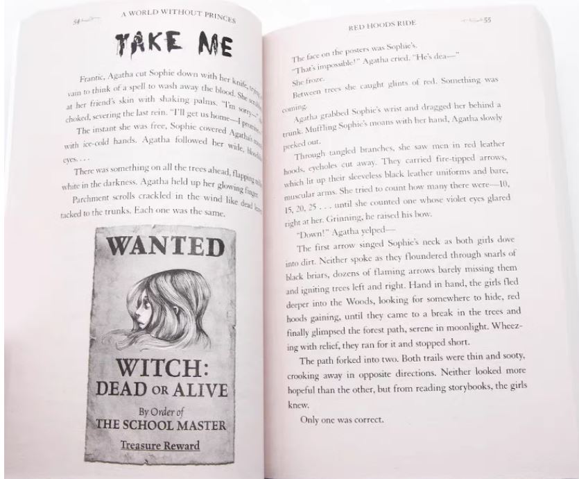 The School for Good and Evil Series 善惡魔法學院｜5 books｜善與惡的奇幻學校