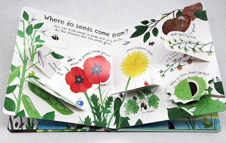 Usborne First Questions and Answers系列翻翻書 How Do Flowers Grow 花兒如何生長