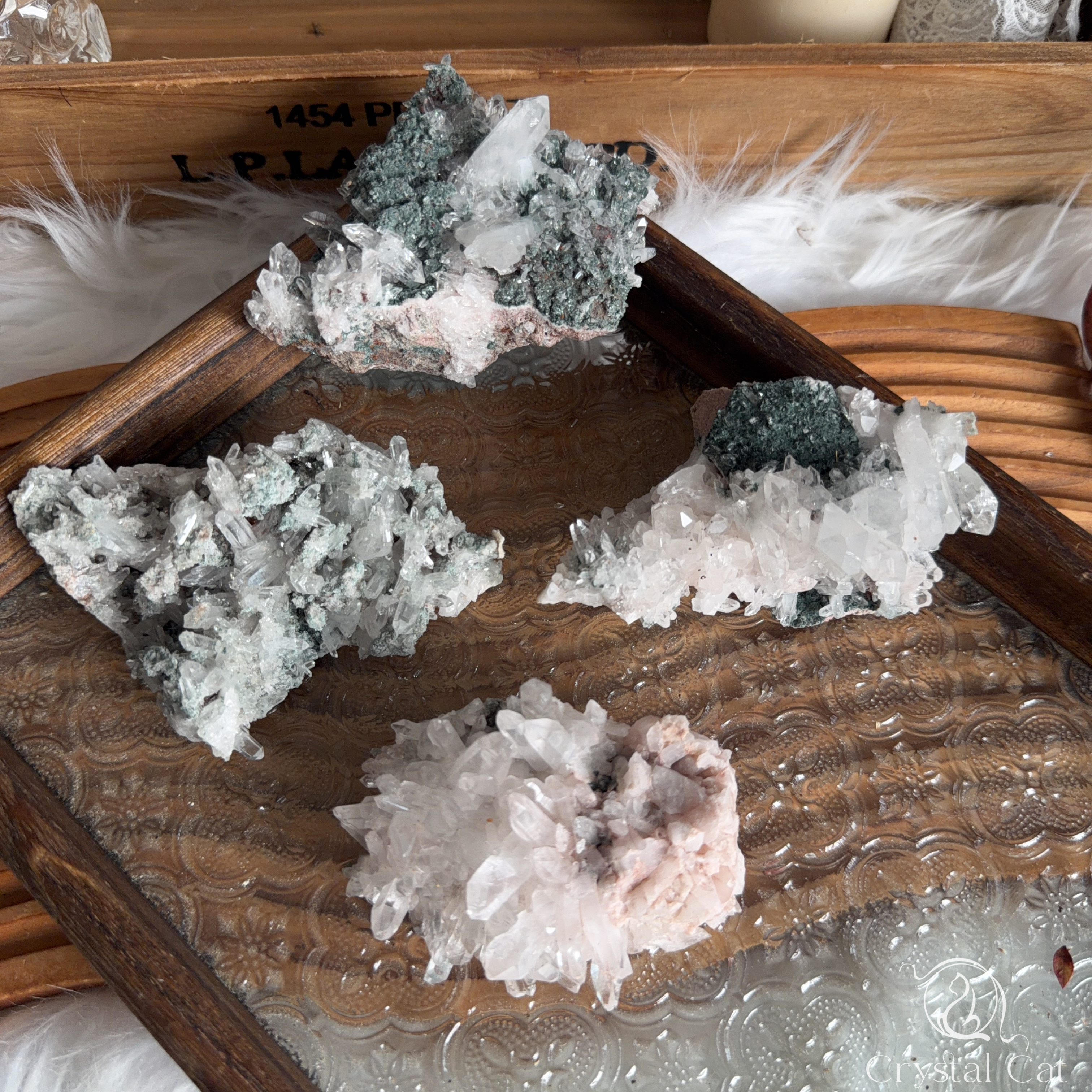 巴基斯坦綠泥白水晶共生