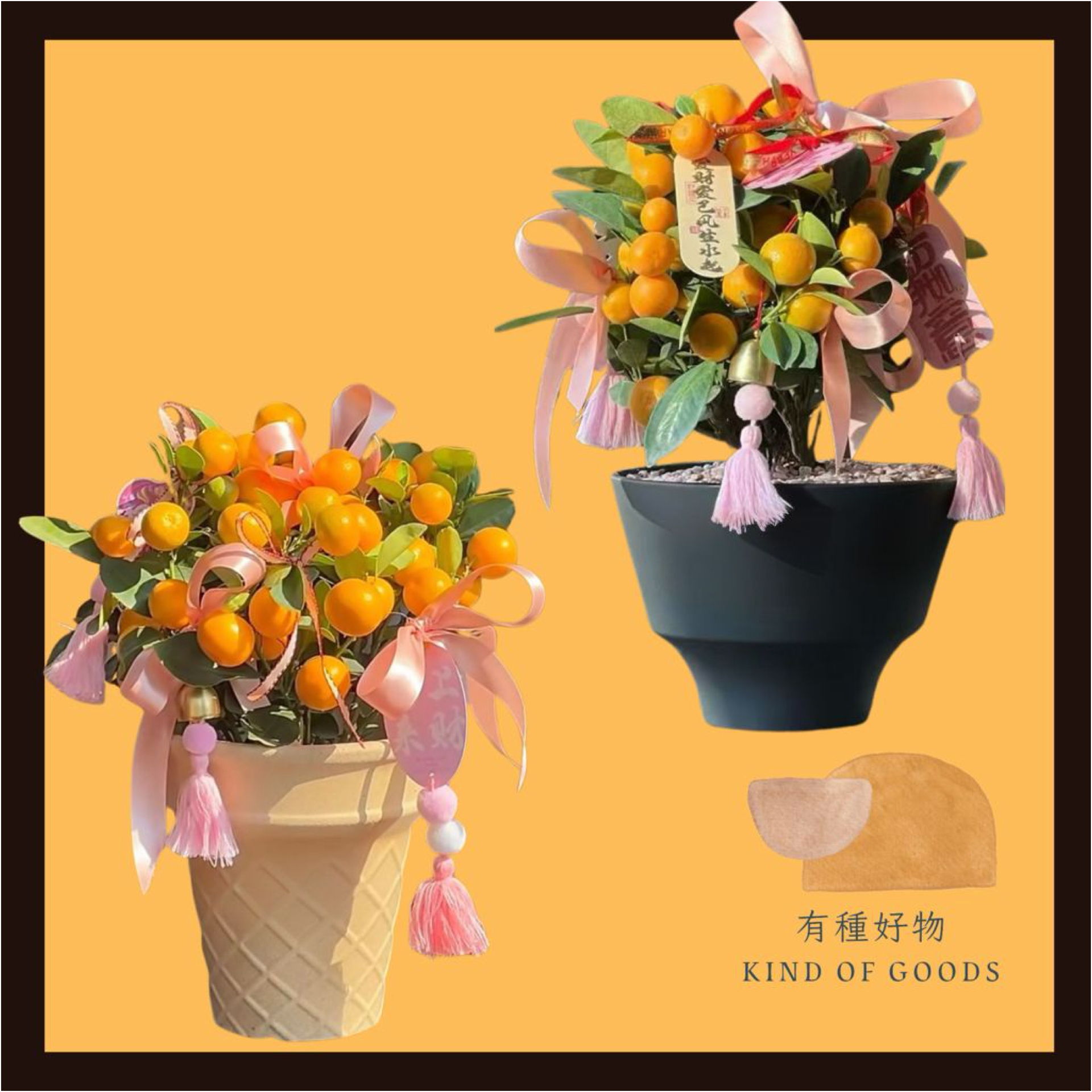 🍊 吉祥盈門｜招財旺宅桔盆景－永恆的金色豐收祝願！🍊