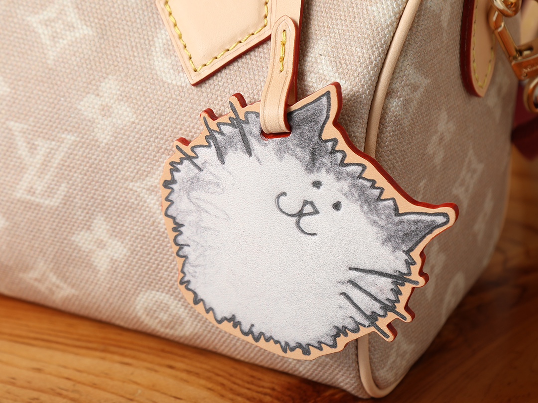 LV Louis Vuitton Speedy Bandouliere 20