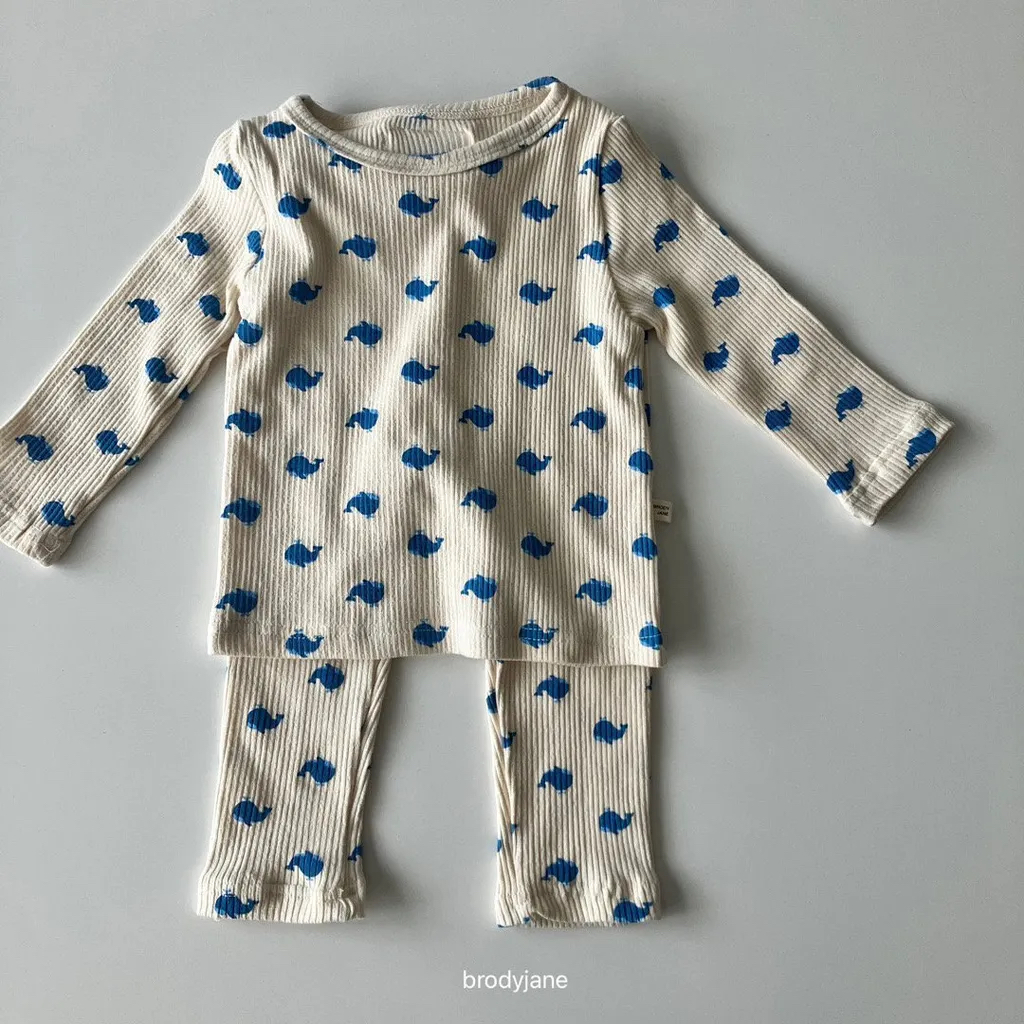 🇰🇷Brodyjane set