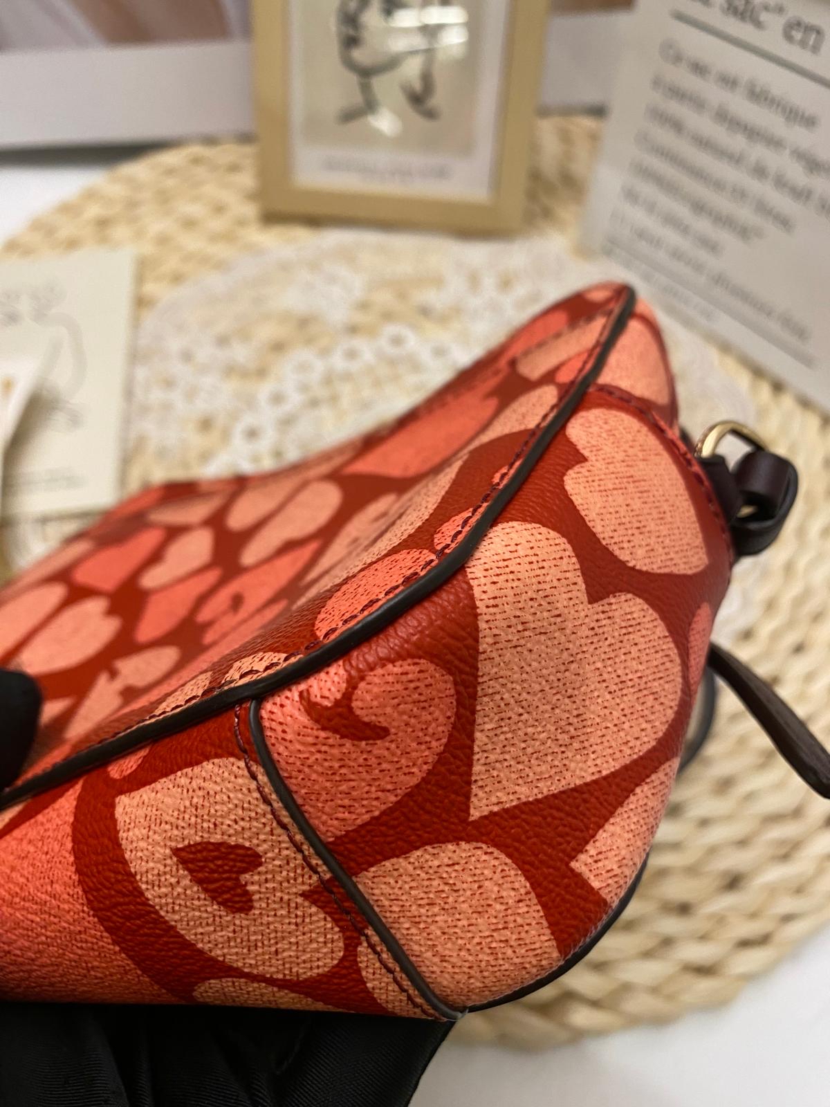 Coach Mini Camera Bag With Heart Print