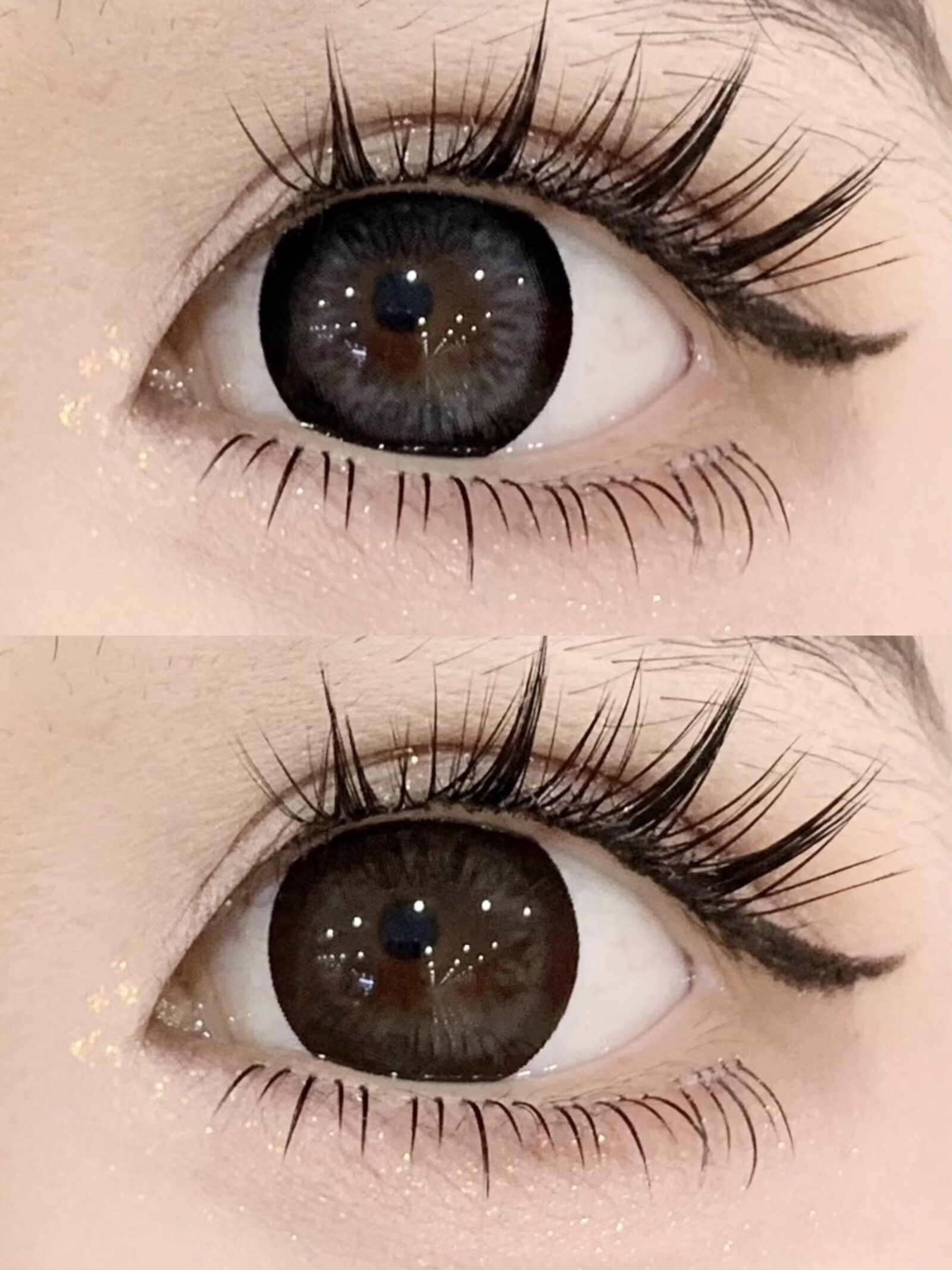 Kaylens 半年拋 琉璃幻境/黑兔鬆餅