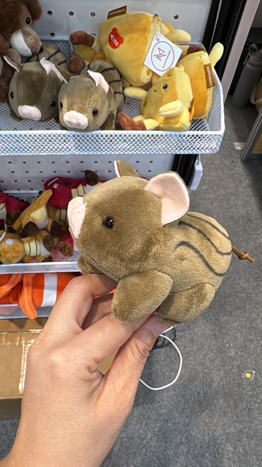 Auskommen 胸帶公仔扣
