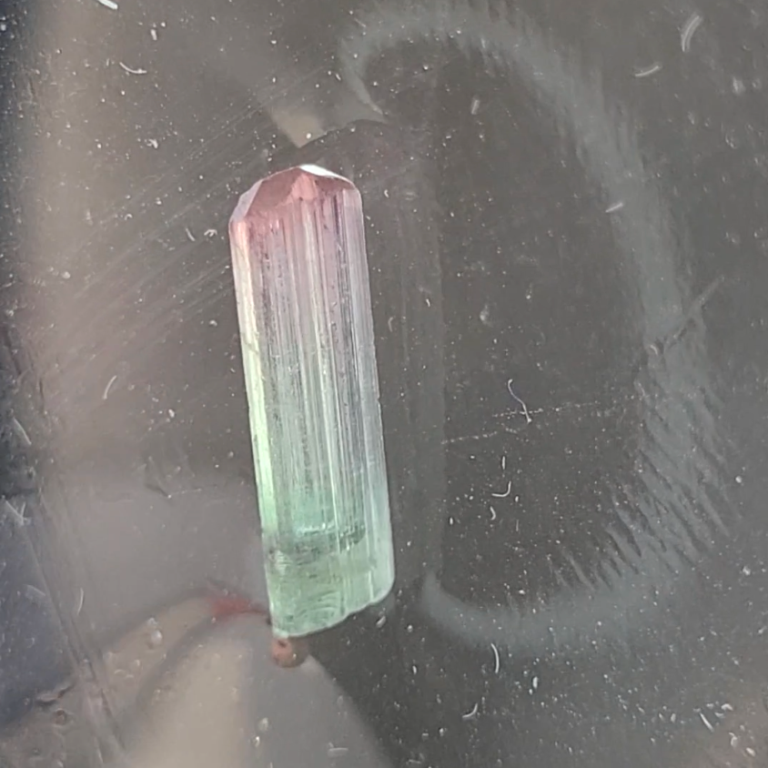 Bi-color tourmaline specimen from Afghanistan - TR48