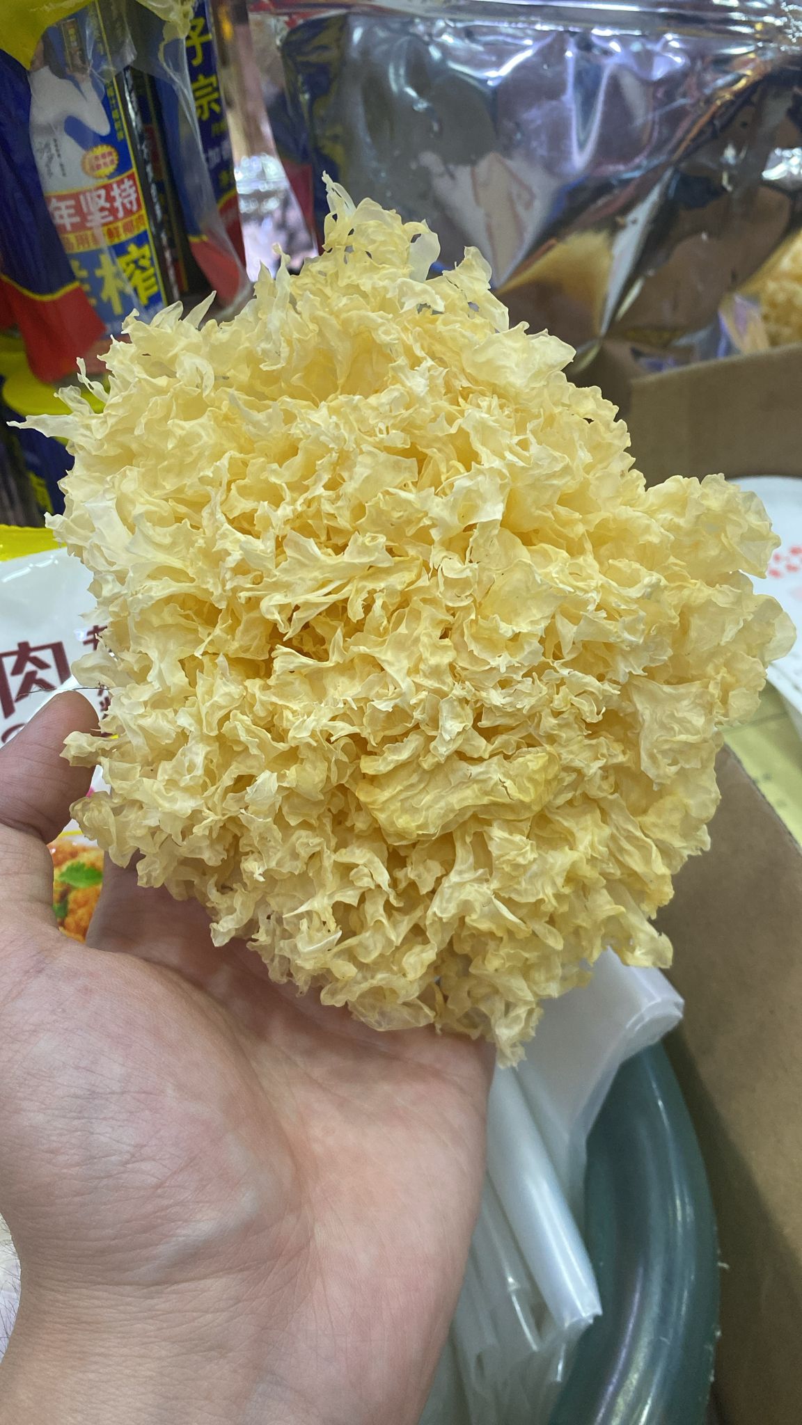 優質雪耳/白木耳 - 天然滋補養顏佳品