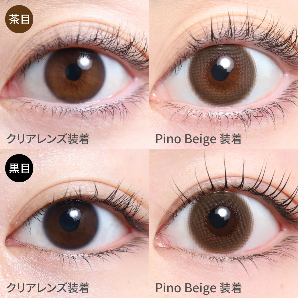 TeAmo - Cheria Pino Beige (1day/10P)