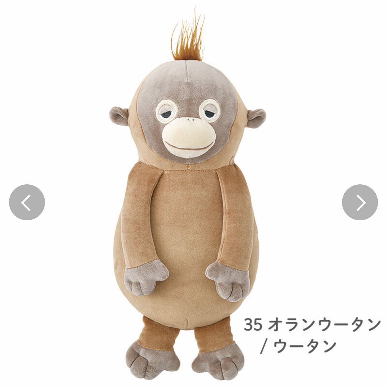 日本進口按摩動物背墊