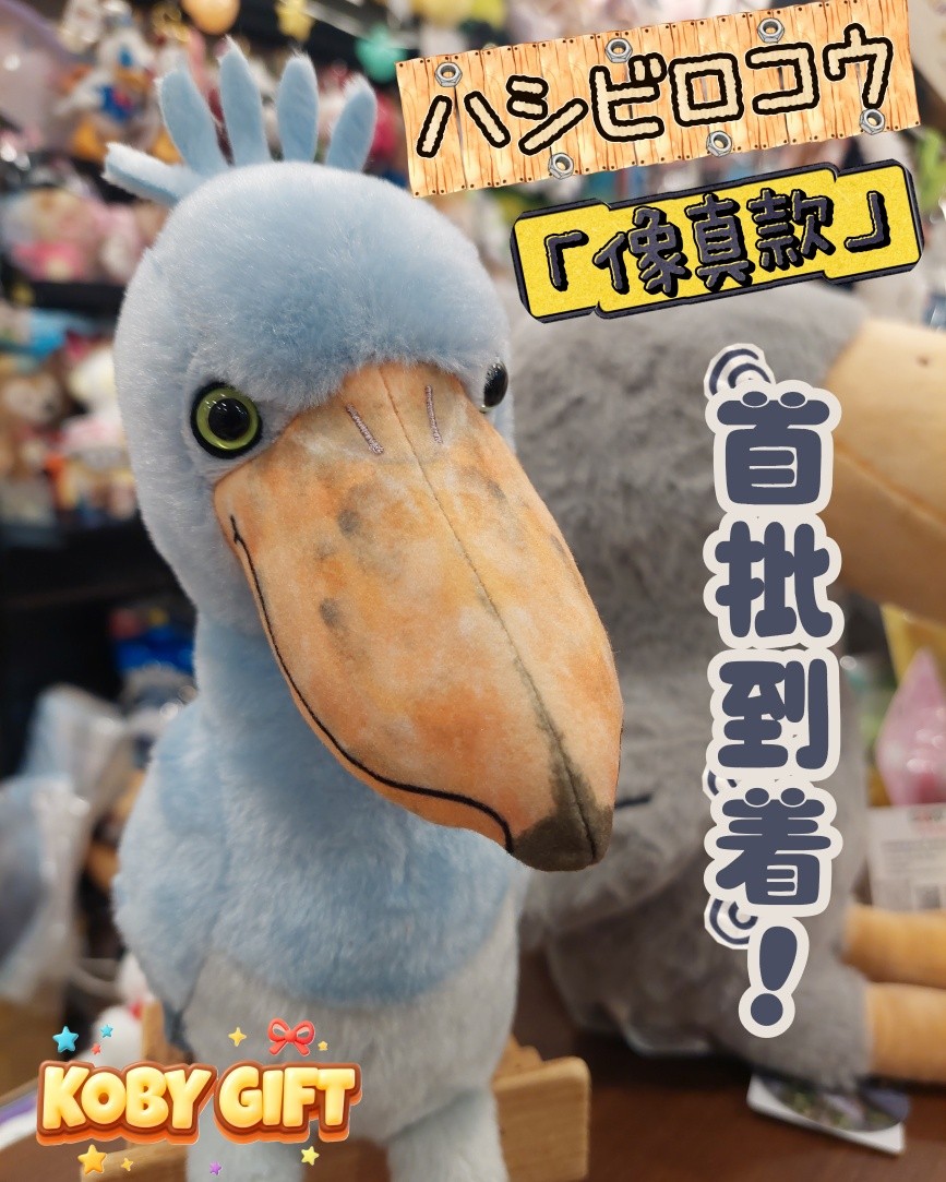 【Ann Tseng專用】