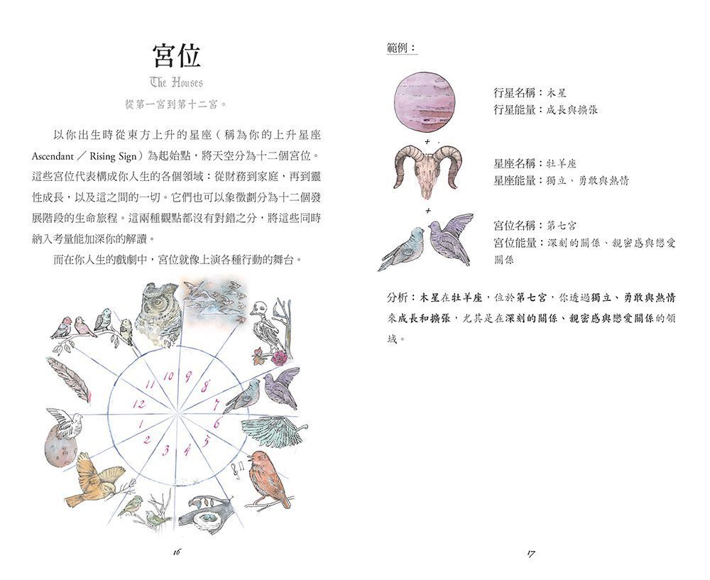 天體占星神諭卡