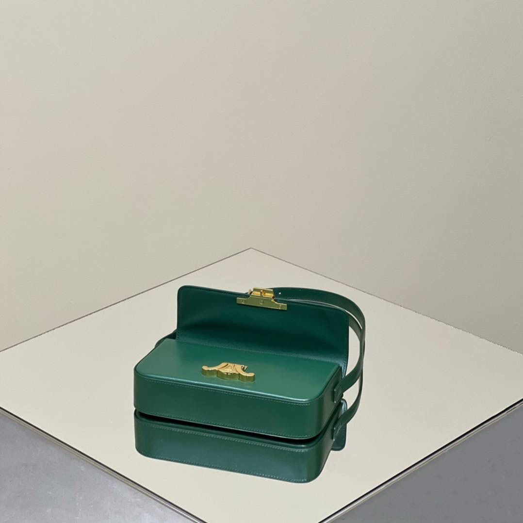 🔥大货实拍图 𝗖𝗘𝗟𝗜𝗡𝗘 ♥ 𝗧𝗥𝗜𝗢𝗠𝗣𝗛𝗘 𝗦𝗛𝗢𝗨𝗟𝗗𝗘𝗥 𝗕𝗔𝗚 型号：194143 尺寸：20*10*4cm