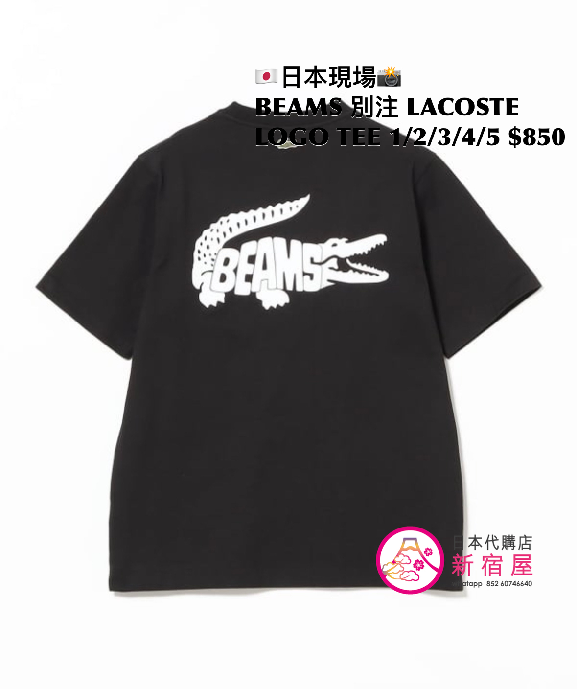 BEAMS 別注 LACOSTE LOGO T-SHIRT