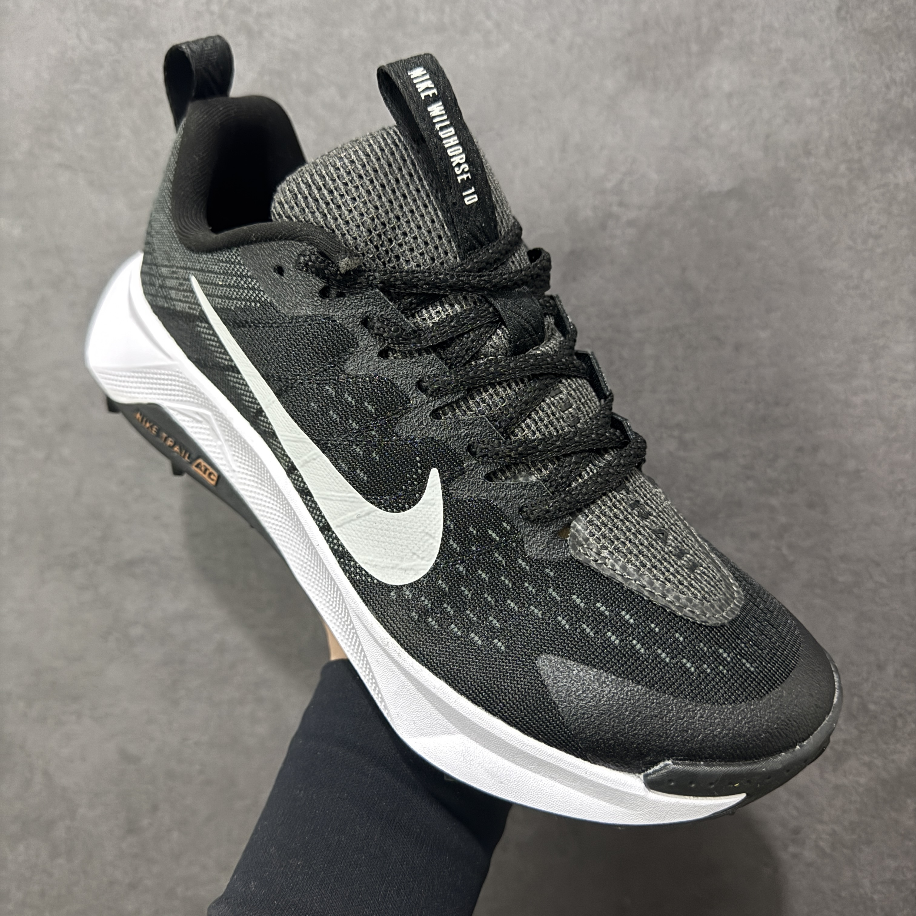 Nike Wildhorse 10 FV2338-001