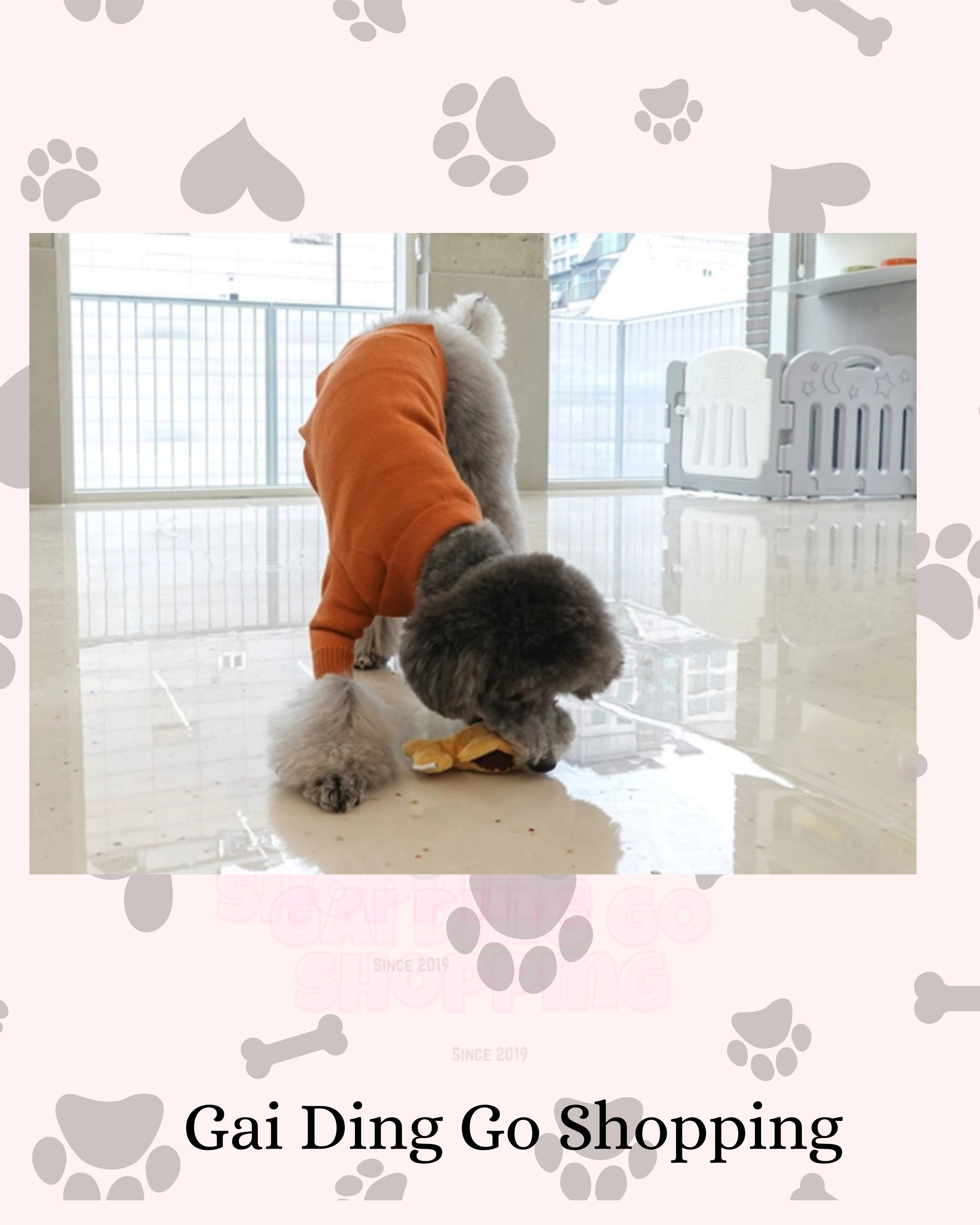 🐟 鯛魚燒藏食玩具  🐟 Japanese Fish - cake Nosework Toy