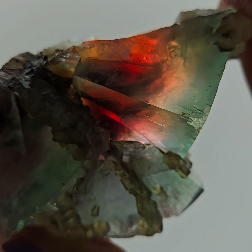 Red phantom fluorite with columnar calcite - FL227