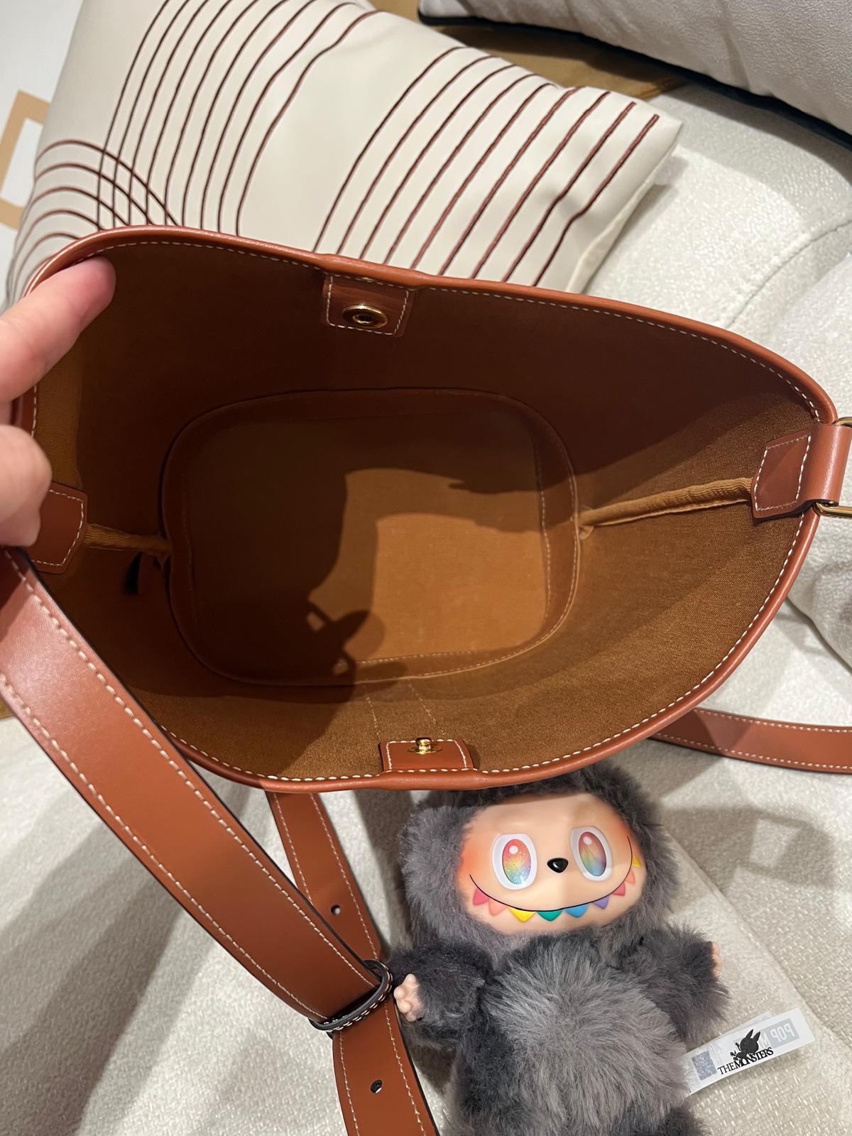 Celine Bucket small IN TRIOMPHE CANVAS AND CALFSKIN 100%Authentic, 98%New ✅Dust bag