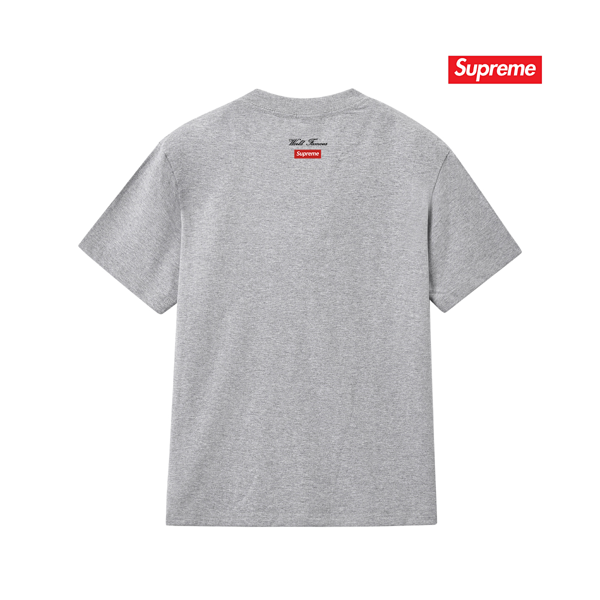 Supreme Aerial Crewneck Tee