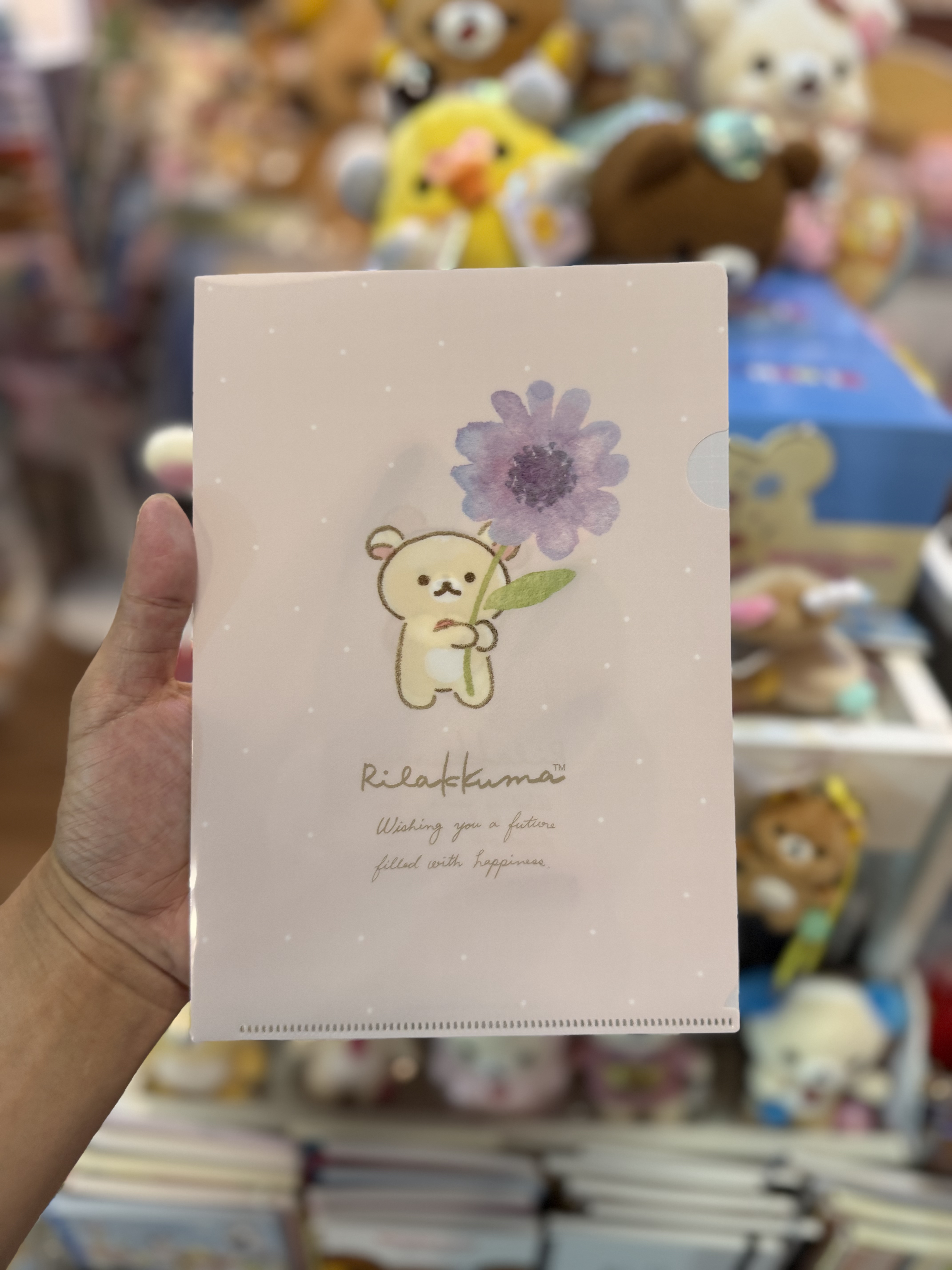 《現貨》全新日本郵便局限定 Rilakkuma A5+A4file+收據袋