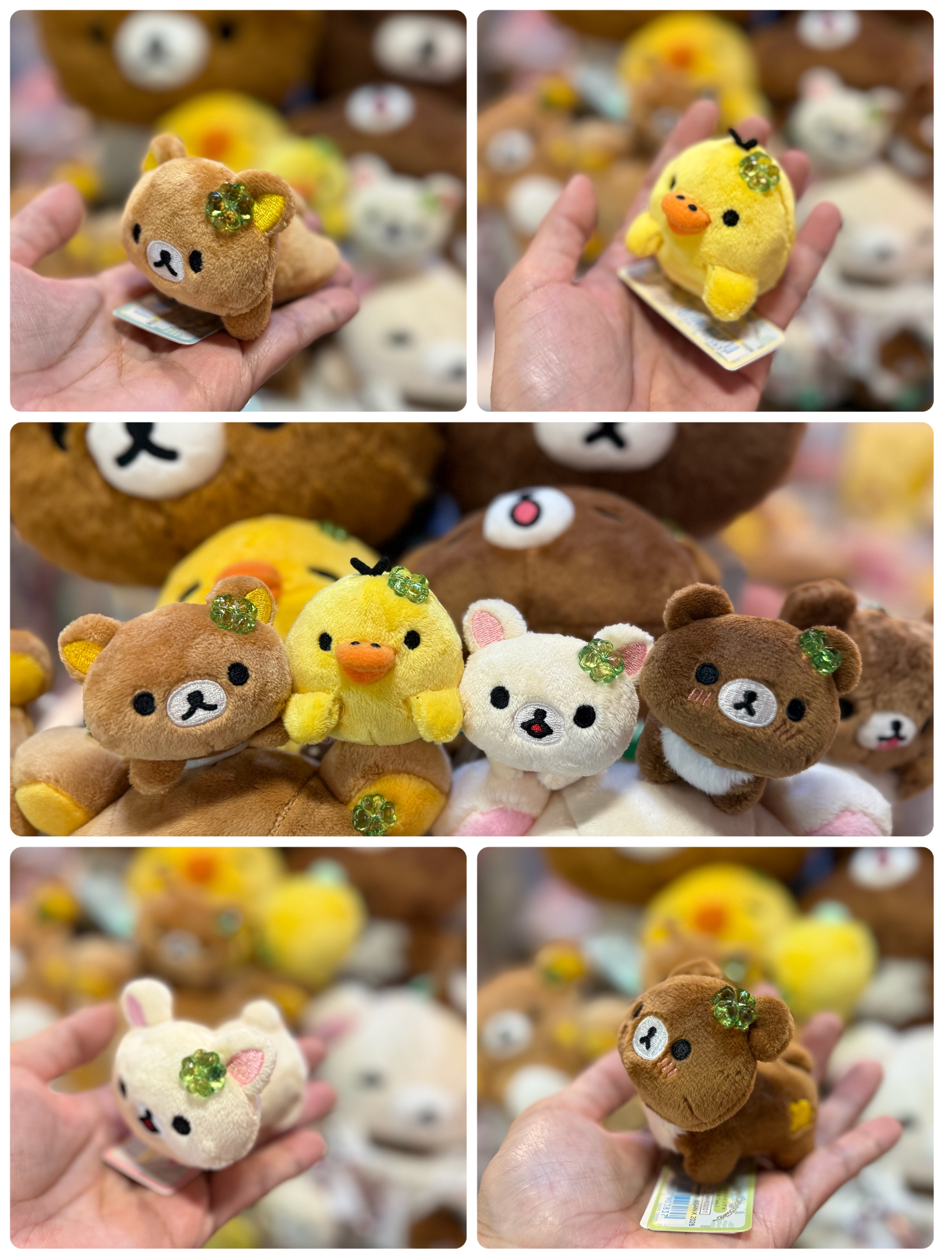 《現貨》全新小熊10週年紀念四葉草系列趴地手玉公仔