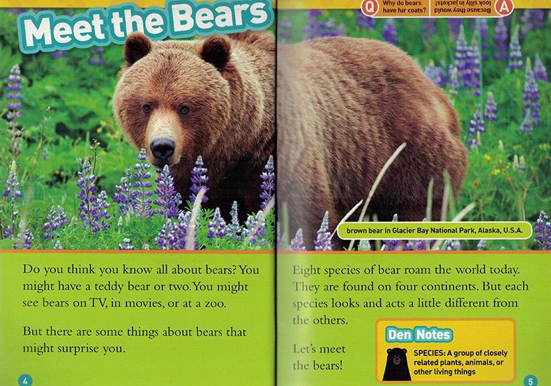 National Geographic Kids Level 3 國家地理分級讀物 第三季 L3 兒童百科書｜22 books｜點讀版