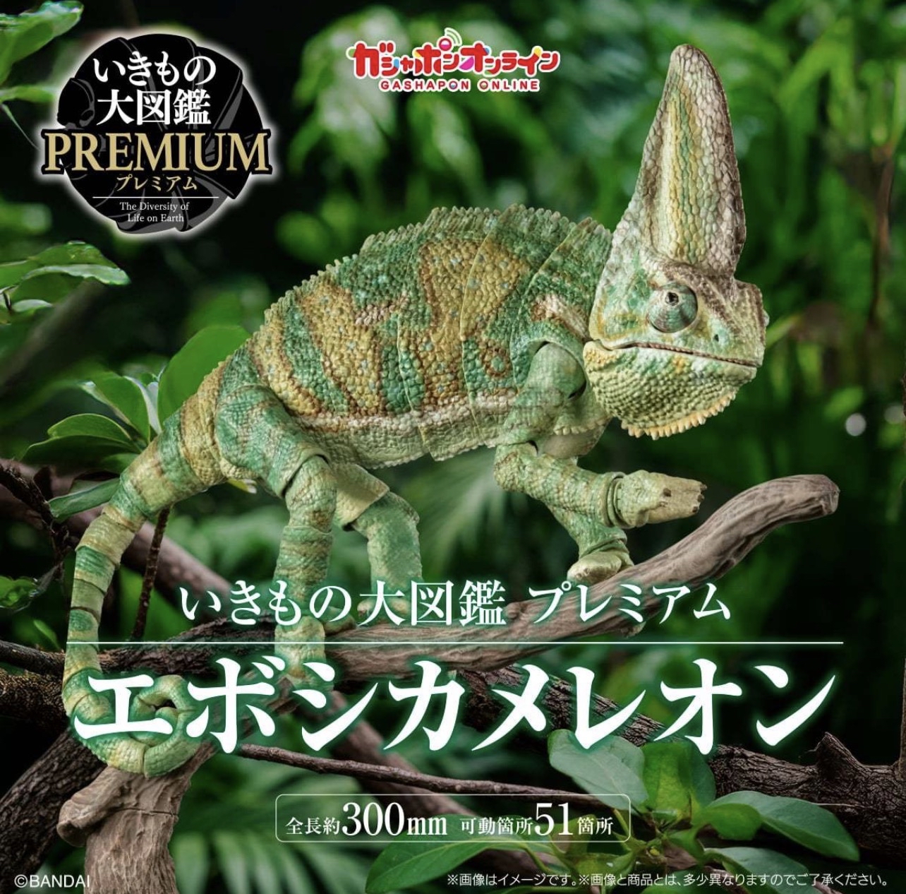 [魂SHOP限定] 生物大圖鑑 高冠變色龍 