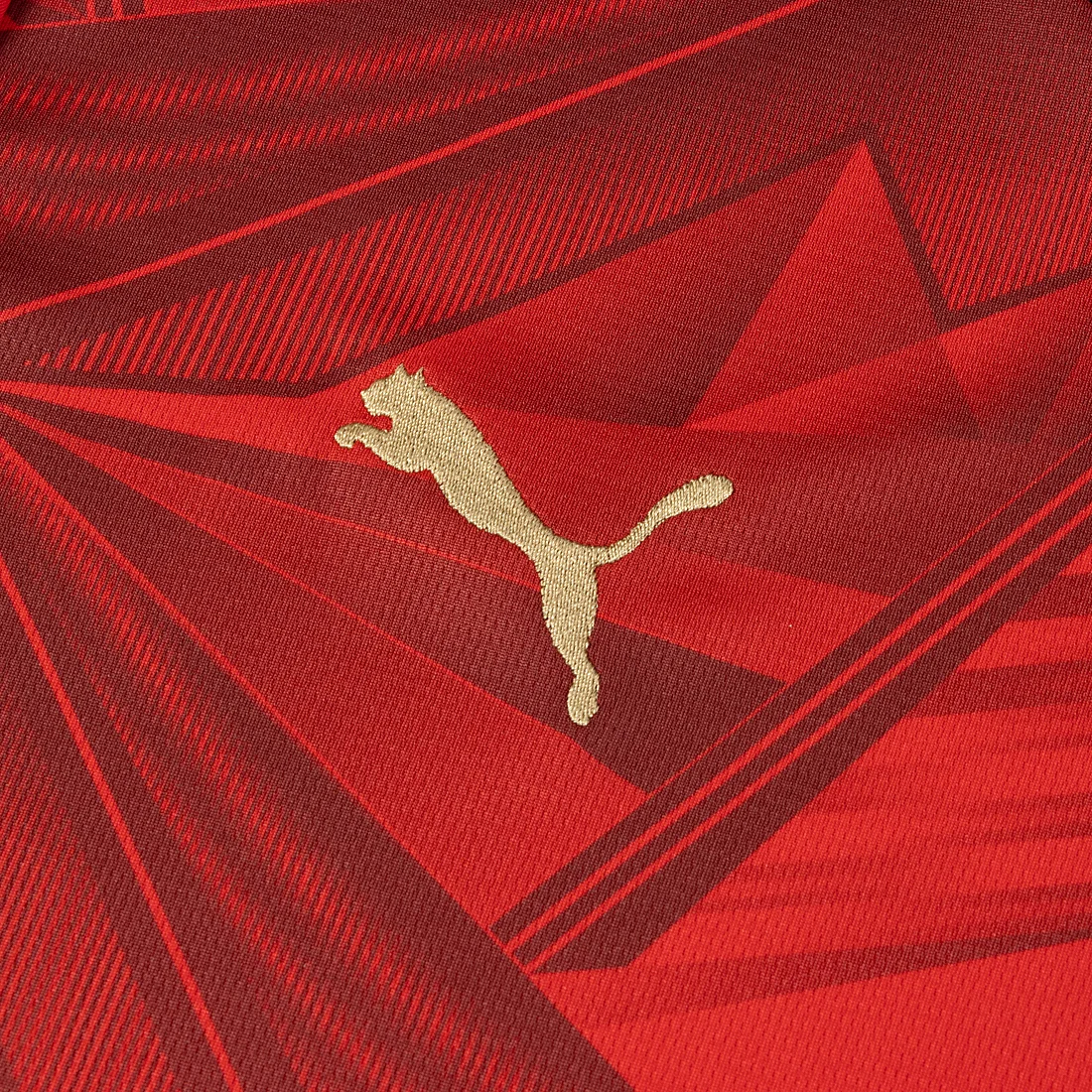 Puma Egypt 埃及 2026-27 主場球迷版球衣 (可加印字) 783552