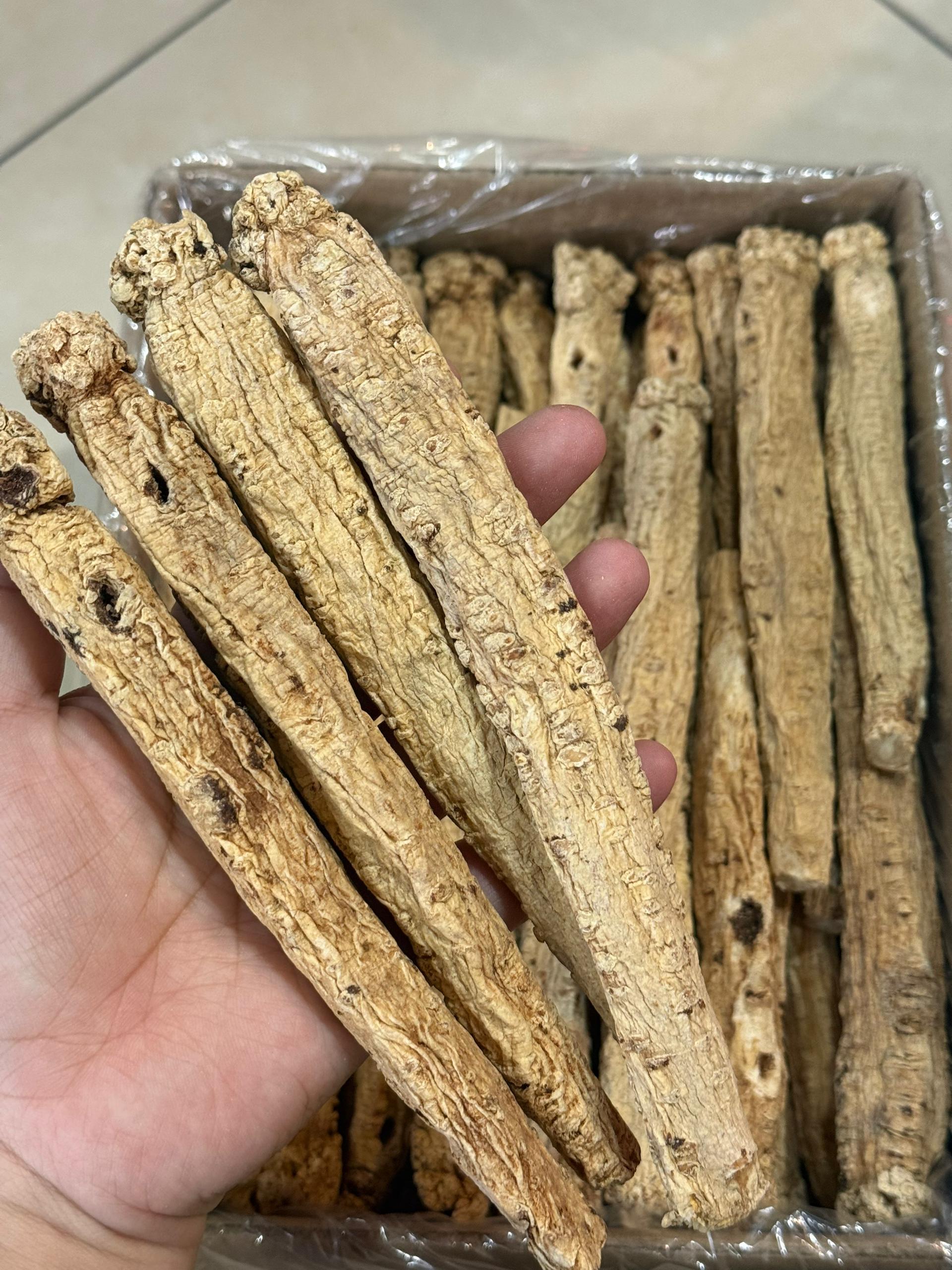 恒发‖ 甘肃无硫党参王 Ganshu Sulfur free Codonopsis king