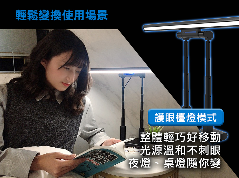 台灣Future Lab T-Lamp 雙子掛燈