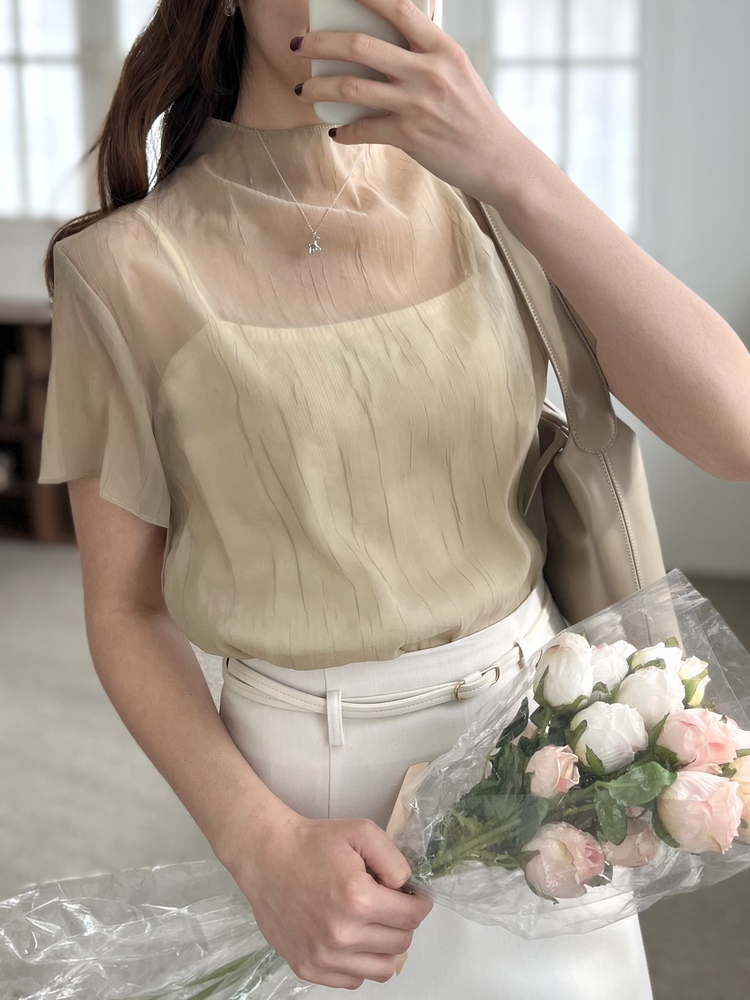 Airy Sheer Crinkle Top (Brown)