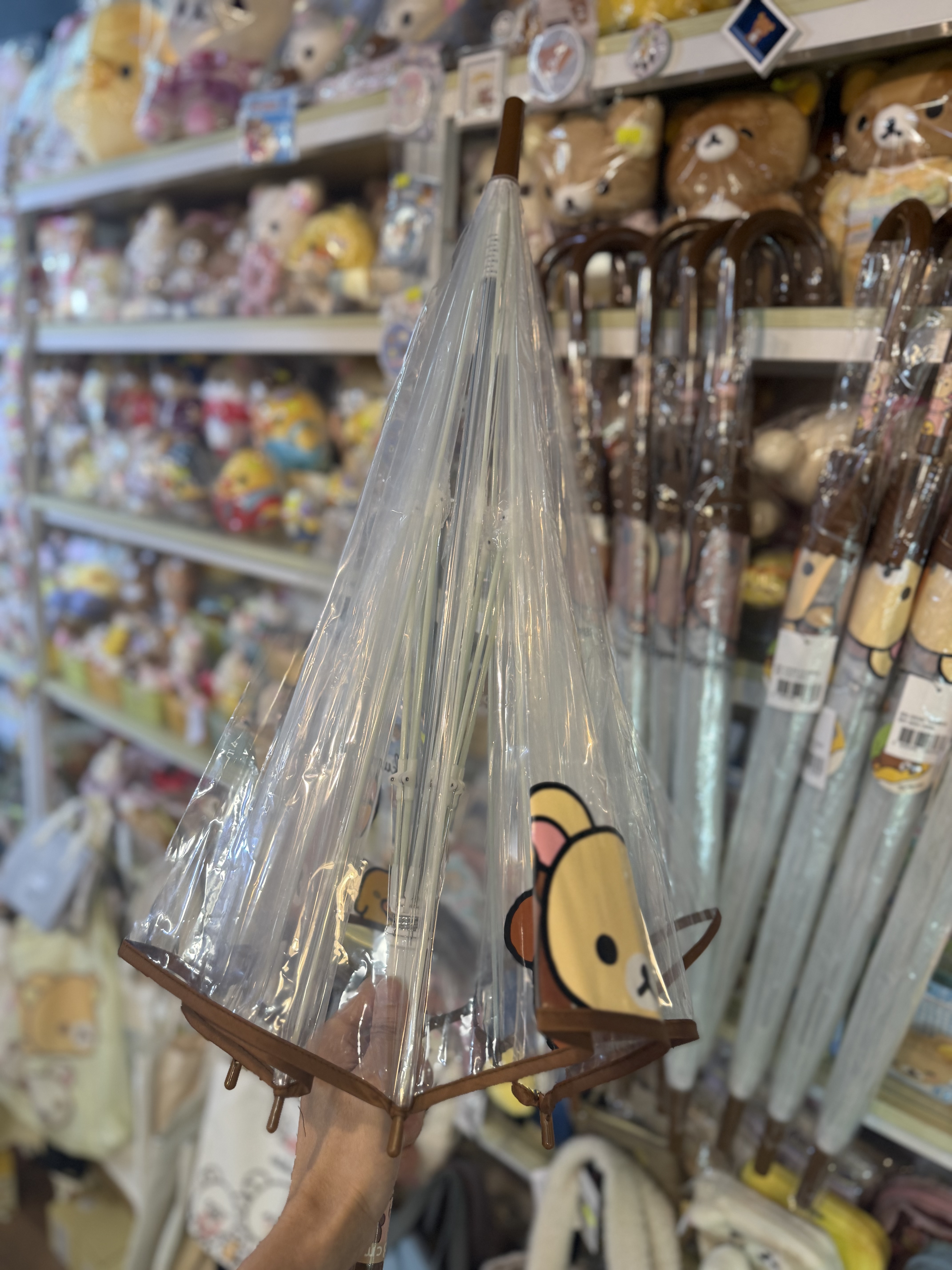 《現貨》全新Rilakkuma韓國專店限定 長身透明遮