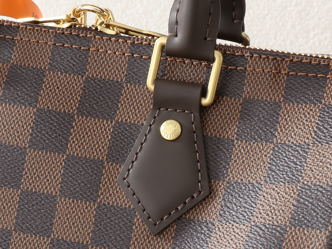Louis Vuitton LV Speedy Bandoulière 25