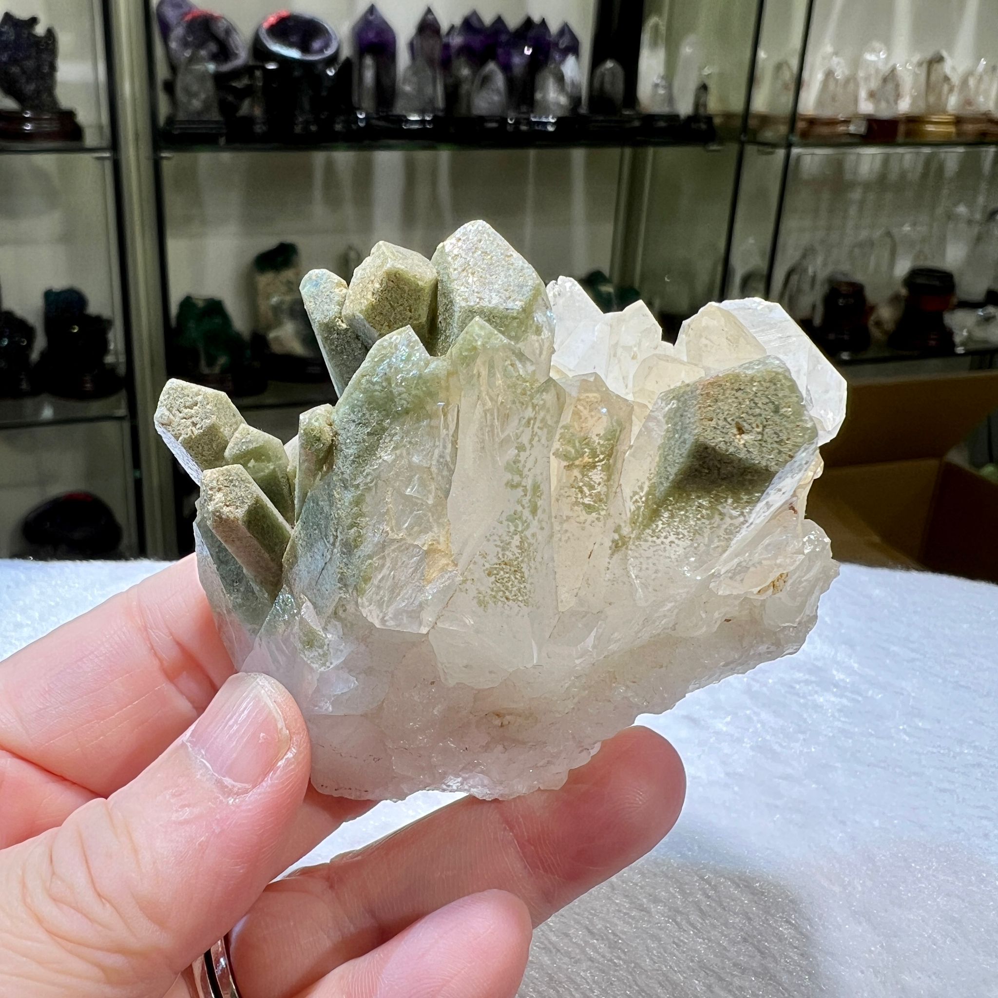 綠幽靈簇 (連座)