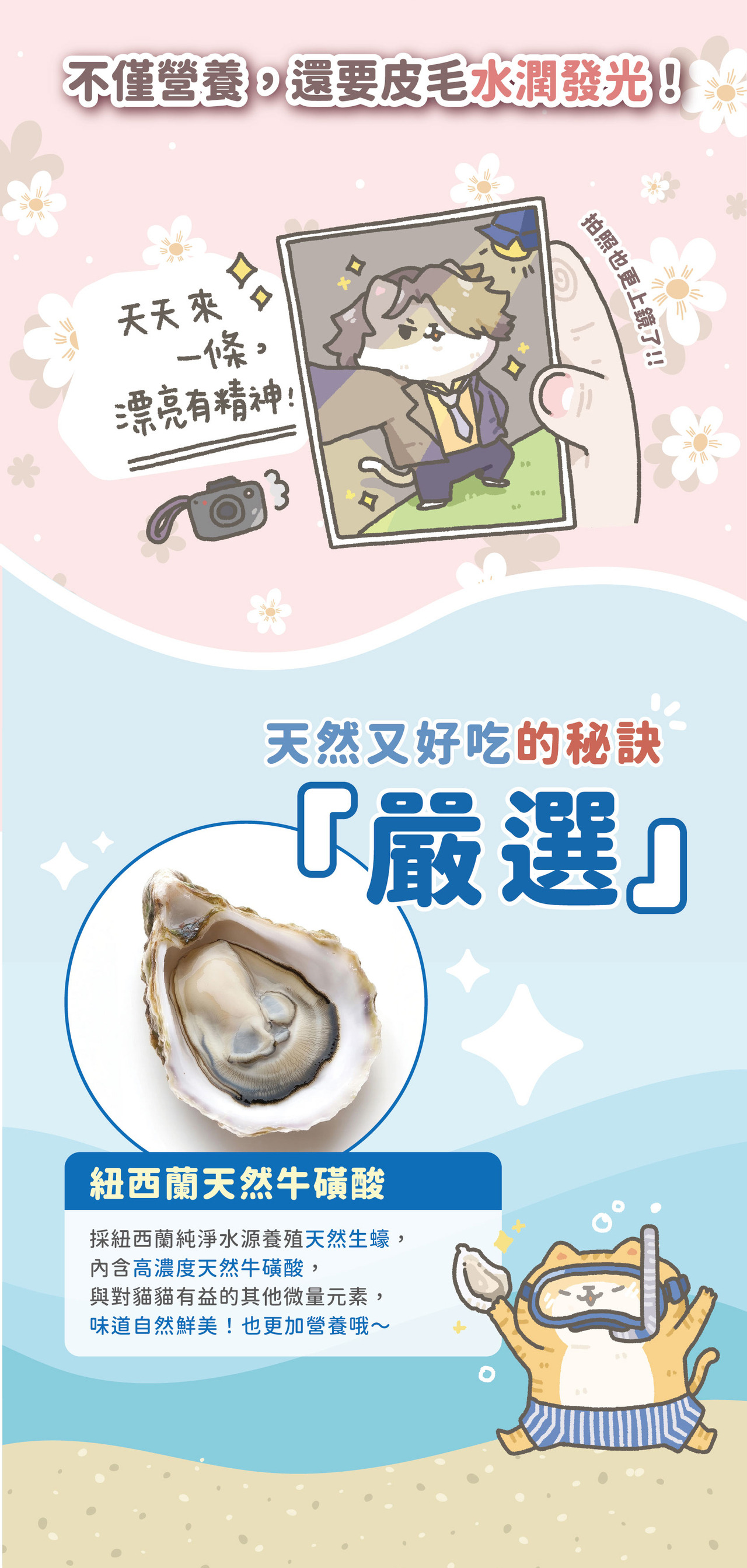 貓有話說｜玻尿酸護膚SPA｜捏一口｜主食鮮肉泥