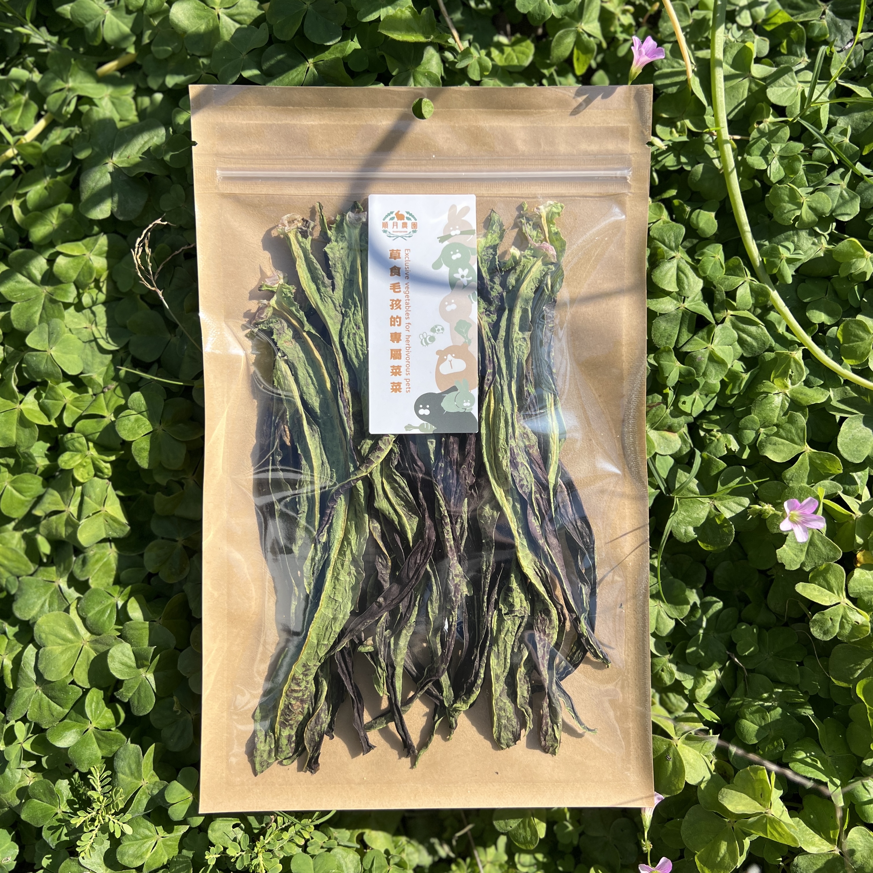 台灣順月農園 嫩莖萵苣 / 油麥菜-台灣品種