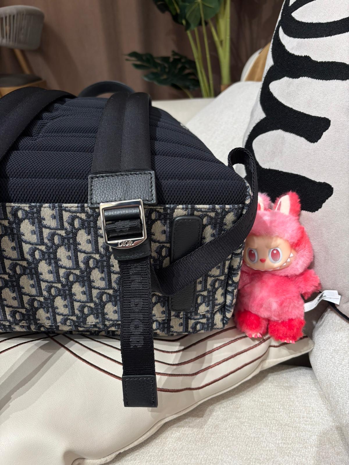 Dior Rider Oblique Backpack 100%Authentic, 98%New ✅收據✅ certificate✅Dust bag