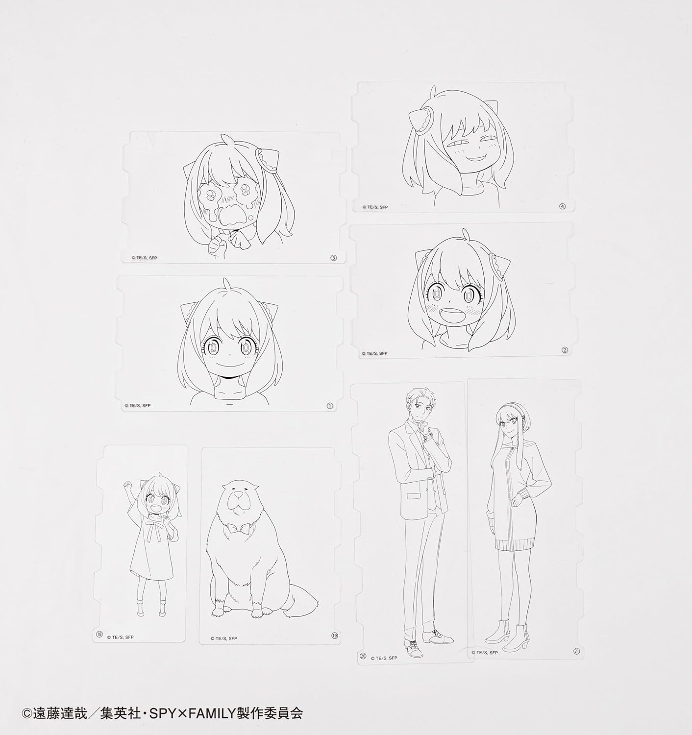 SPY x FAMILY 發光描圖畫板 兒童繪畫玩具 臨摹畫畫板 發光畫板 6歲以上 vbuy