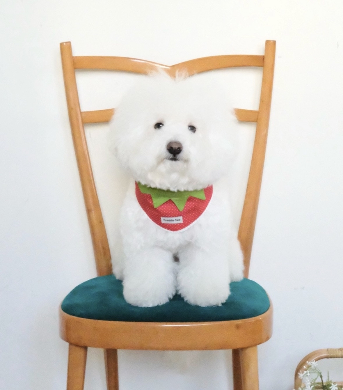 韓國🇰🇷strawberry 系列 三角圍巾 / 太陽帽