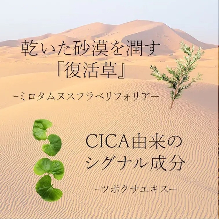 *🇯🇵日本HTC復活草+積雪草修護面膜 (1套10片)*