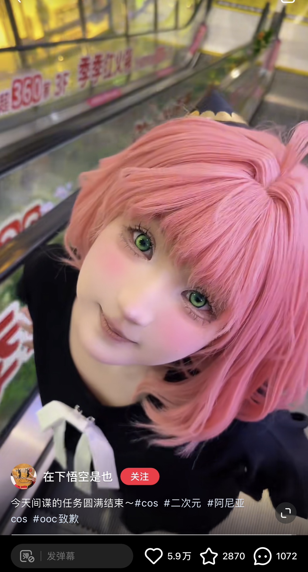 Recolook 日拋2片裝 錦鯉系列