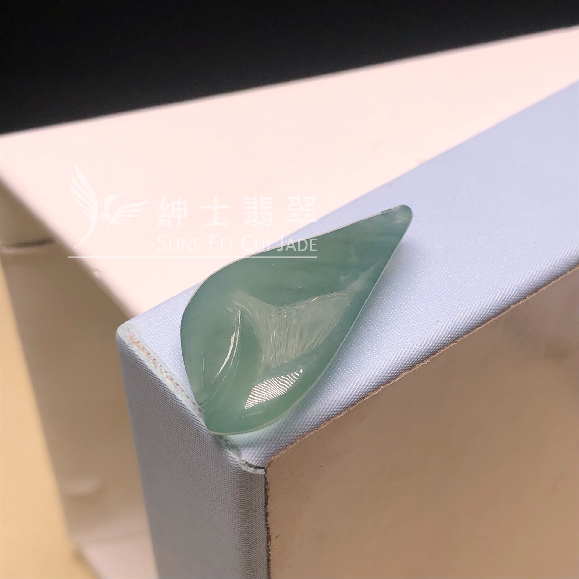 YK00740 老油青悟道