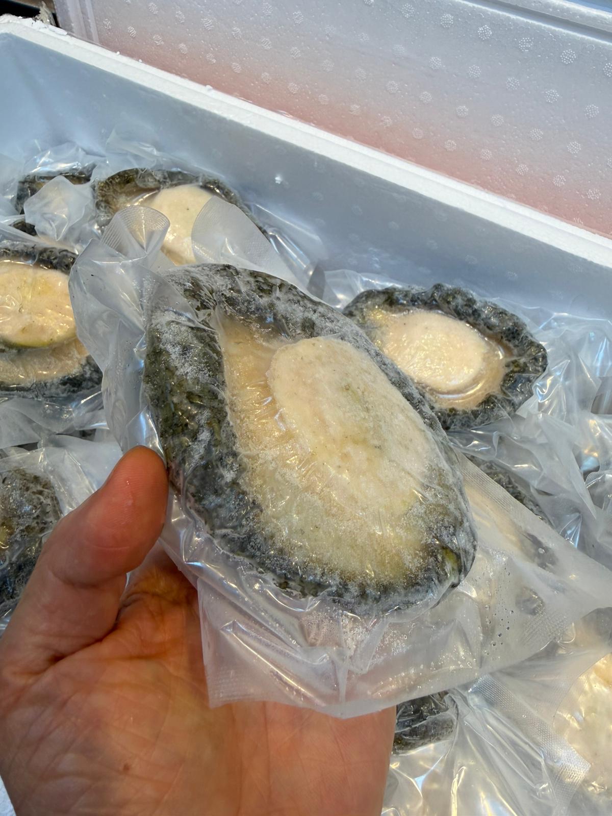 急凍野生南非鮑