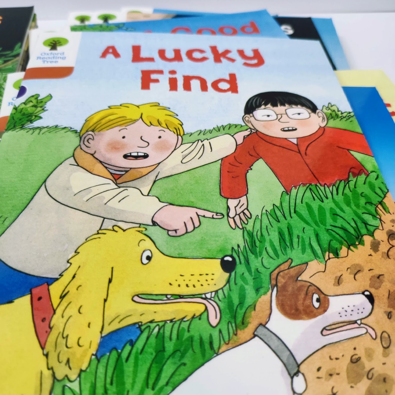 Oxford Reading Tree School version | 牛津樹學校版|最高質|英語分級閱讀 |支持小達人筆點讀