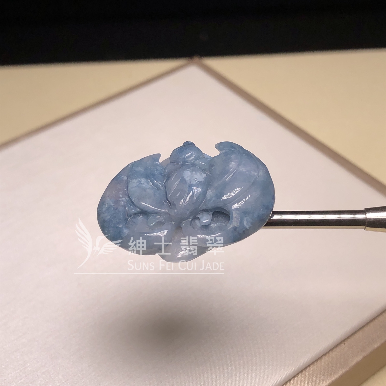 茄紫飄藍花福鼠  B08457